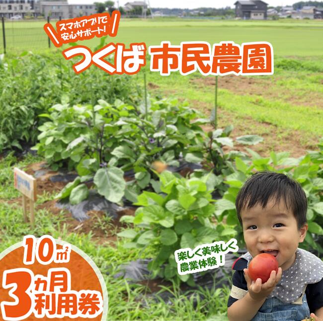 【ふるさと納税】専用スマホアプリがサポート！ハルファームの市民農園利用券(10平方メートル 3ヵ月) | 茨城県 つくば市 農園 貸農園 貸し農園 農業体験 農業 野菜収穫 体験 野菜体験 チケット 旬野菜 採れたて野菜