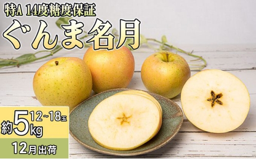 12月 特A ぐんま名月約5kg（12～18個）14度糖度保証【青森りんご・ゆうきアップル・12月】 果物類 フルーツ 果物