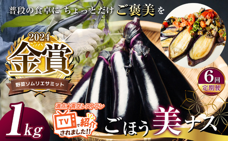 【定期便6回】野菜ソムリエサミット金賞「ごほう美ナス」 約1kg