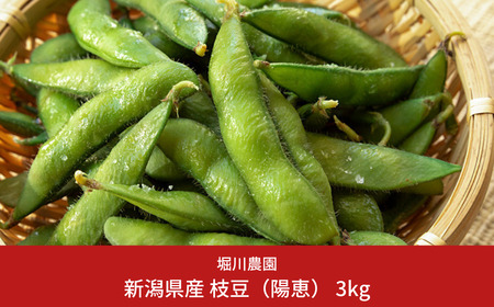 枝豆 3kg 朝採り枝豆をお届け [2025年発送分] 令和7年産 新潟県産 枝豆（陽恵） 朝採り枝豆 採れたて枝豆 新鮮 枝豆  [堀川農園] 【030S009】