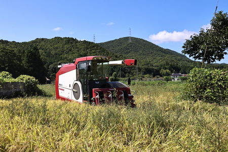 令和6年産 新米！　丹波篠山の大地で育まれたコシヒカリ　玄米30kg DP04