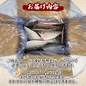 （冷凍） 訳あり サバ 鯖 4kg バラ凍結 無塩 外湾漁業協同組合 国産サバ 国産鯖 無塩鯖 無塩サバ さば 簡単 保存 調理 焼き 簡易包装 わけあり 訳アリ 訳あり品 魚 魚介 海鮮 BBQ 加