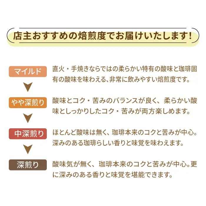 【全12回】コーヒー スペシャルティセット3種 豆or粉 コーヒー[XBE034]
