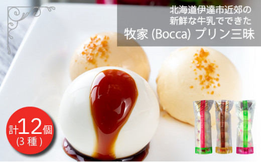 
[№5525-0209]北海道 牧家 Bocca プリン三昧 3種 各4個入 計12個 食べ比べ 白いプリン クレームブリュレ 塩キャラメル プリン スイーツ なめらか ミルク カラメル ギフト 送料無料
