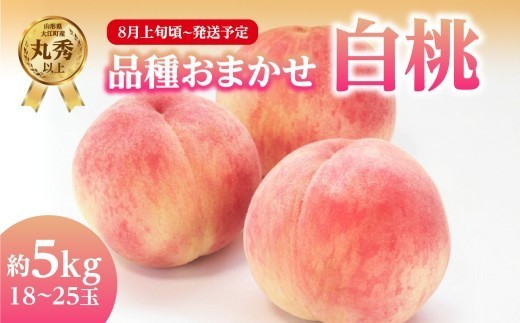 
                  《先行受付》品種おまかせ 白桃 約5kg【丸秀以上】 （18～25玉）【2026年8月上旬頃～9月中旬発送予定】 【001-101】
                