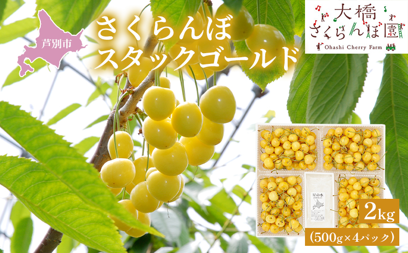 【 先行受付 】さくらんぼ スタックゴールド黄 2kg（500g×4パ