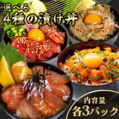 ふるさと納税 須崎市 漬け丼4種セット サーモン・カジキマグロ・キハダマグロ・イカ 各3パック