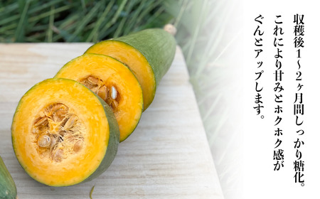 農薬・肥料不使用の飛騨かぼちゃ | かぼちゃ