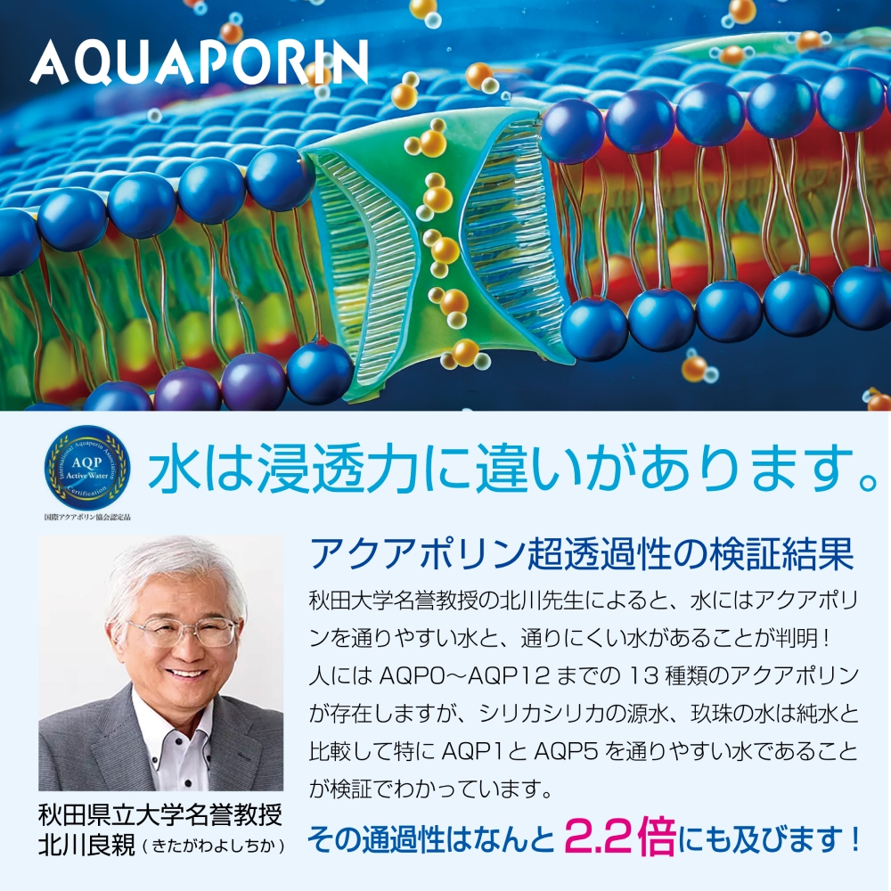 九州天然水 シリカシリカ 500ml×24本 九州 天然水 シリカ シリカ水 500ml 24本 飲料水 軟水 美容 ミネラル 大分県 玖珠町 くじゅう連山 名水百選 ナチュラルミネラルウォーター アクアポリン 肌 髪 コラーゲン ケラチン 秋田県立大学 北川良親 透過性 高含有量