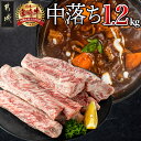 【ふるさと納税】都城産宮崎牛中落ち1.2kg - 宮崎県産宮崎牛牛肉 都城市産 A4ランク以上 牛中落ち肉(600g×2パック) 牛中落ちカルビ ゲタ 中バラ 国産 牛バラ肉 送料無料 MJ-2509【宮崎県都城市は2年連続ふるさと納税日本一！】