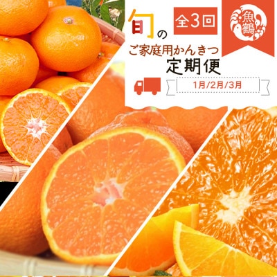 【発送月固定定期便】紀州和歌山産旬のご家庭用柑橘セット(みかん・不知火・清見)全3回【配送不可地域：離島】【4059951】