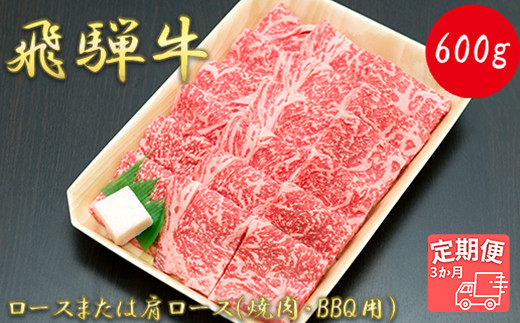 
【3か月定期便】【飛騨牛】ロースまたは肩ロース600g (焼肉・BBQ用)
