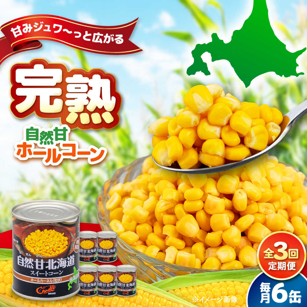 【ふるさと納税】【全3回定期便】 自然甘ホールコーン 6缶《喜茂別町》【きもべつ観光協会】 コーン コーン缶 缶 缶詰 とうもろこし トウモロコシ 北海道 常温 常温配送 定期便 定期 [AJAG032] 15000 15000円