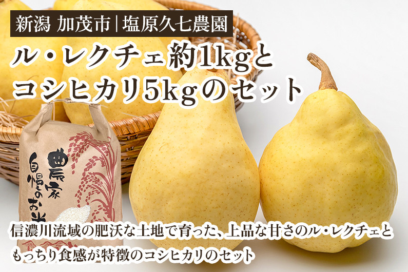 
            【2025年先行予約】新潟県加茂市産コシヒカリ5kgとル・レクチェ1kgセット 《11月下旬～順次出荷》 新潟産コシヒカリ 新潟米 白米 お米 ご飯 洋梨 フルーツ ルレクチェ ルレクチエ 加茂市 塩原久七農園
          