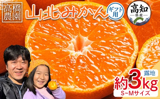 
                  【2026年11月中旬より順次配送】みかん 3kg 甘い 山北みかん 先行受付 (露地・Ｓ～Ｍ) ギフト用 高橋農園 - 果物 フルーツ 温州みかん ミカン 蜜柑 柑橘 小玉 甘い th-0028
                