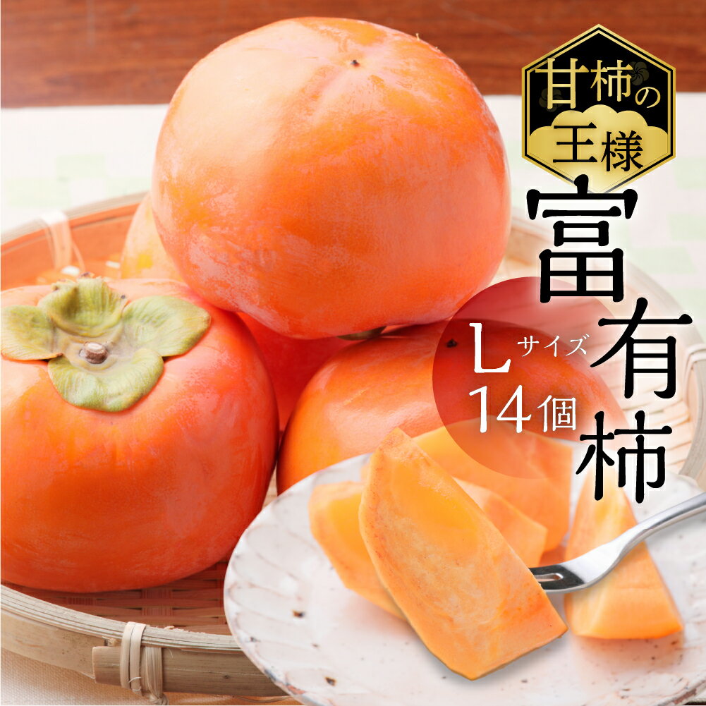 【ふるさと納税】[先行予約]令和7年産《柿の王様》加藤果樹園の富有柿Lサイズ14個入り 11月下旬〜12月上旬発送予定 [1039] [mt025]｜かき 富有柿 ふゆうがき フルーツ カキ 果物 くだもの 産地直送 岐阜県 本巣市 10000円 一万円