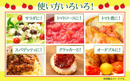 ぷりうまミニトマト ドライミニトマト セット 1320g トマト ミニトマト 野菜 GTOファーム 熊本県 南阿蘇村《2026年7月上旬-10月末頃出荷》