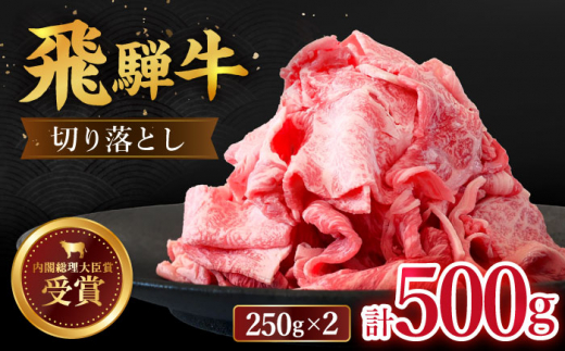 【 飛騨牛 】 切り落とし 500g  ( 250g × 2 )   牛肉 国産 ブランド牛 和牛 多治見市/肉のひぐち  [TDC009]