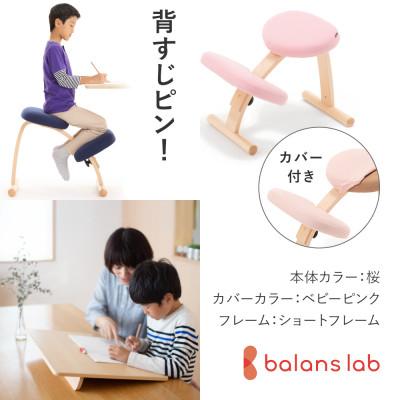 ふるさと納税 美濃市 バランスイージー ショート[桜]カバー付+イージーライティングボードL【複数個口で配送】