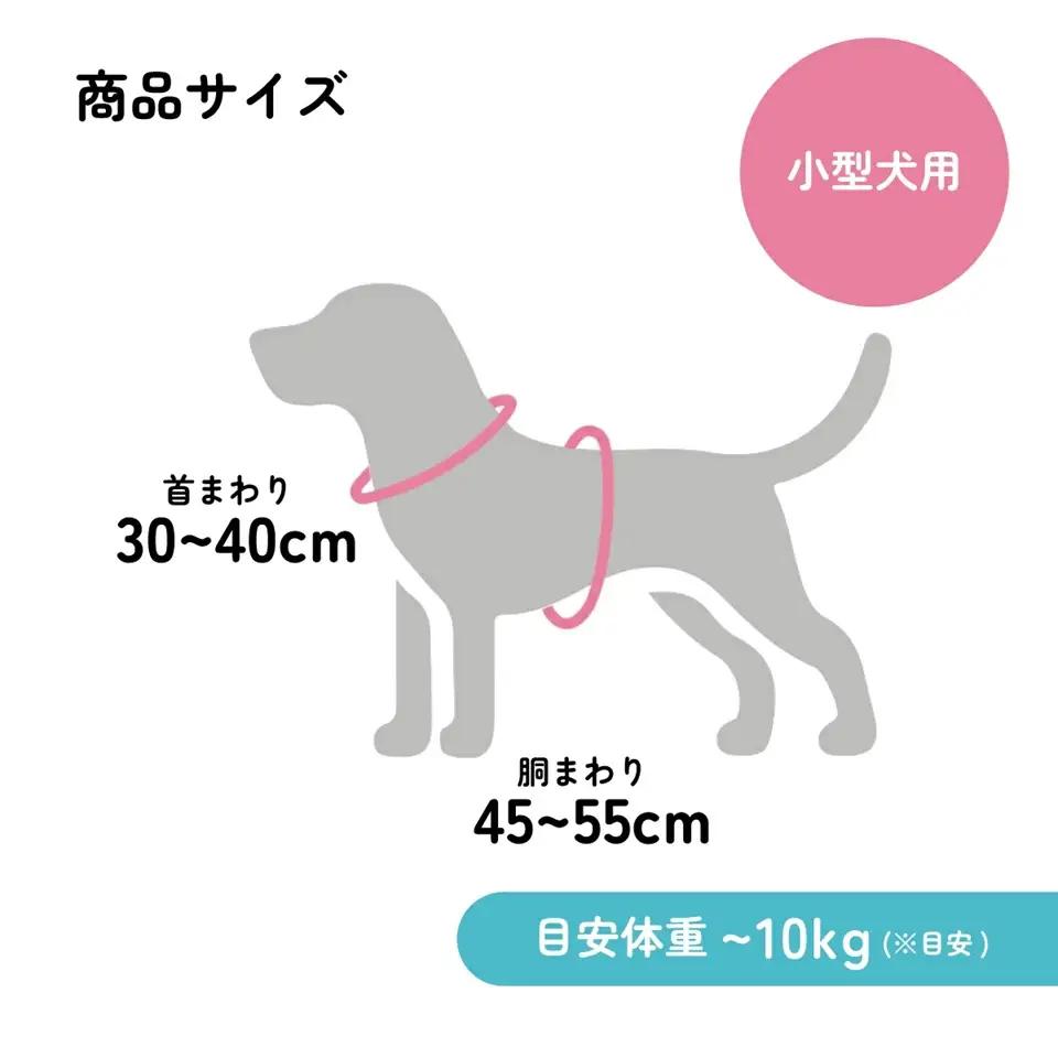 着せやすい ハーネス M 小型犬用 PTHV31 skt192 657627