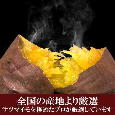 ふるさと納税 大垣市 つぼ焼いも 岐阜総本舗 幸神の冷凍つぼ焼いも　約3.0kg(約15本)