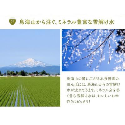 ふるさと納税 酒田市 ≪新米予約≫ 雪若丸 精米 5kg 令和7年産米 山形県酒田産 |  | 03