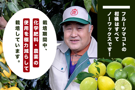 B-366 香酸柑橘類セット （リスボンレモン・キノス・げんこう・ライム）【約5kg 】佐賀県 鹿島市