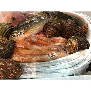 竹中水産の「豪華鮮魚ボックス約4キロ」!【H22-234】【配送不可地域：離島・北海道・沖縄県】【1070934】