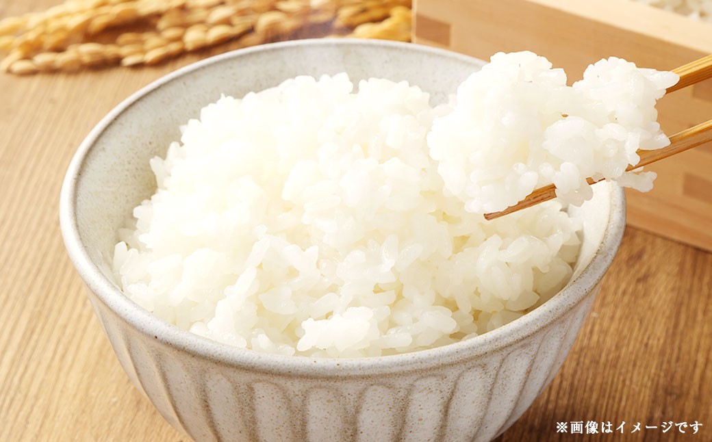 【 数量限定 】 令和7年産米五城目産 あきたこまち 新米切替前 在庫限り 5kg × 3袋 （ 15kg ）