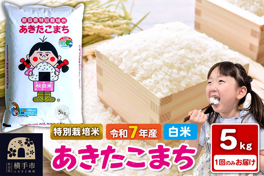 《令和7年産》【白米】秋田県横手産特別栽培米あきたこまち 5kg(5kg×1袋) [秋田県産 あきたこまち 秋田こまち]
