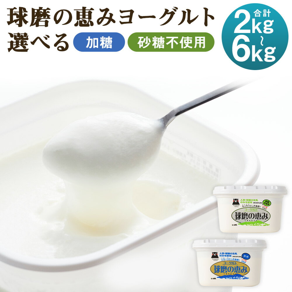 【ふるさと納税】球磨の恵み ヨーグルト 加糖/砂糖不使用 2kg/3kg/4kg/6kg 選べる種類 選べる内容量 1パック1kg 人吉球磨産 乳製品 送料無料