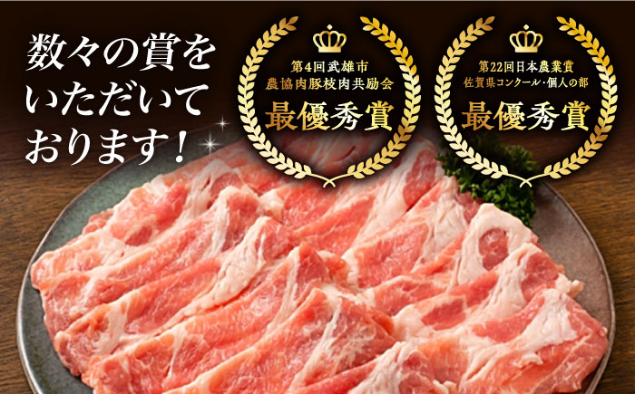 【6回定期便】若楠三元豚 切り落とし 1kg（250g×4パック）/ナチュラルフーズ [UBH075]