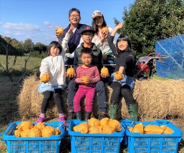 梨 二十世紀 5kg 鳥取県産 湯梨浜 東郷名産 | 205M