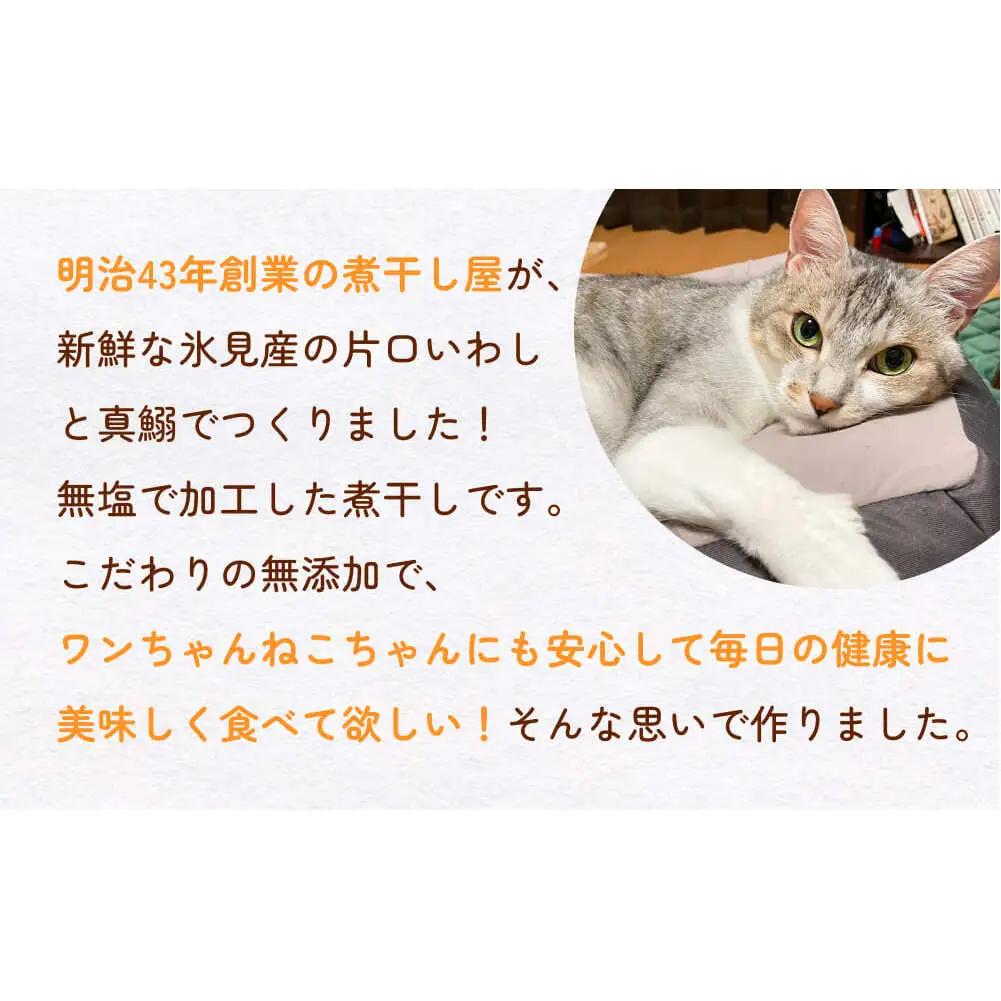 無塩加工煮干し 煮干し屋のわんにゃんおやつ 70g×3袋 無塩 煮干し 鰯 ペットフード 人間も可  犬 猫 富山県 氷見市