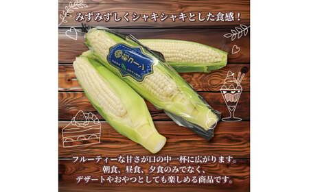 【先行予約】京都の白いとうもろこし「彩コーン」約4kg（ホワイトコーン とうもろこし2025 とうもろこし) 