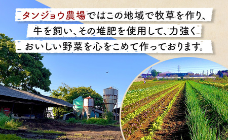 旬の野菜セット6品 落花生 セット 野菜 野菜セット 野菜詰め合わせ 詰め合わせ やさい 千葉市 千葉県