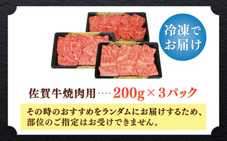 佐賀牛焼肉用 計600g（200g×3パック） / 肉 牛肉 国産 焼肉 / 佐賀県 / 中山牧場[41AOCW012]