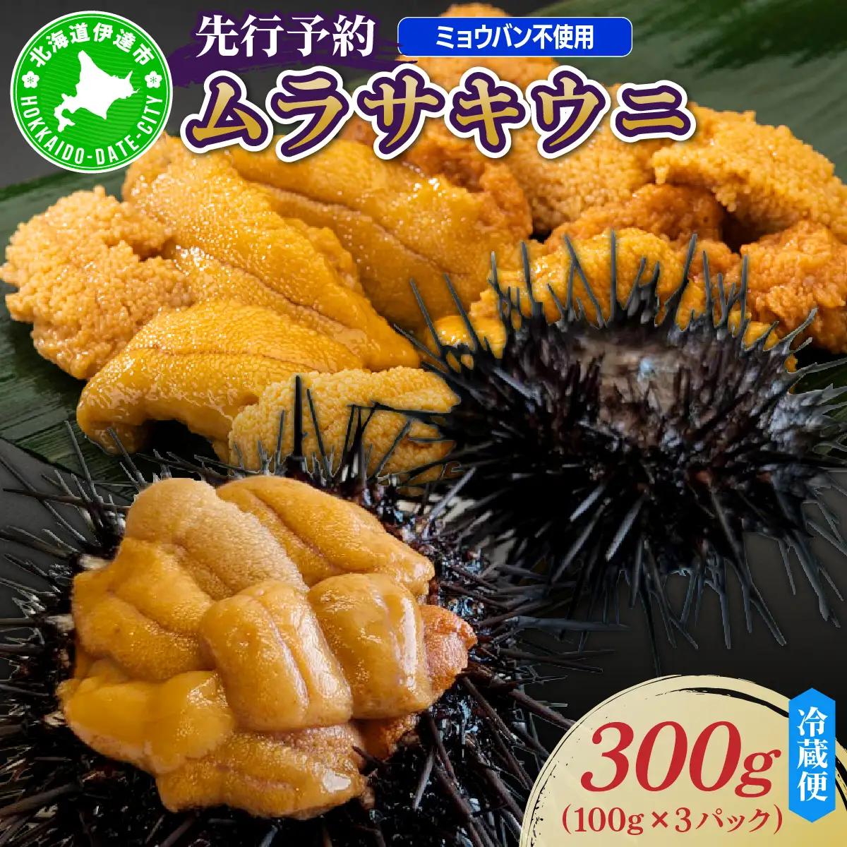 ＜先行予約＞ 北海道産 ムラサキウニ（正規品）300g【ogm-032】