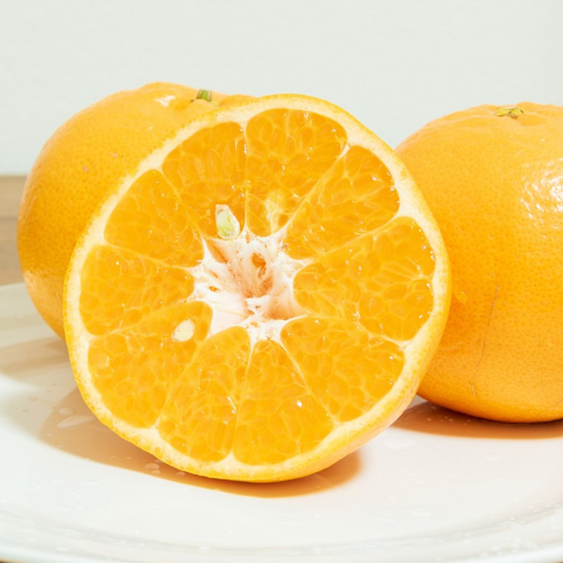 U6227n_【2026年先行予約】ポンカン 秀品 約10kg 和歌山県有田産