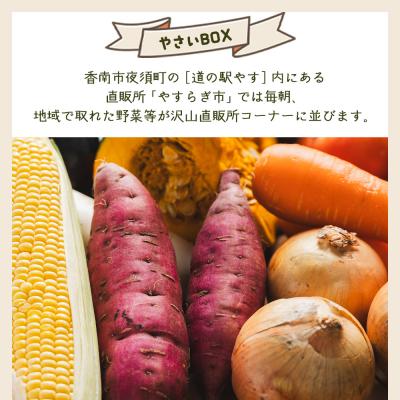 ふるさと納税 香南市 野菜 定期便 人気 3回定期便 やさいBOX(7種類前後) やすらぎ市 産地直送 Wyr-0035 |  | 01