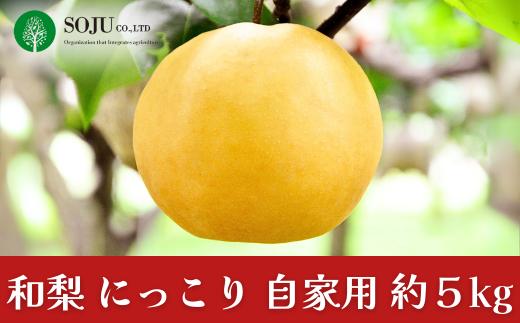 和梨 にっこり 自家用  約5kg 令和7年度 にっこり梨 新潟県 三条市産 [三条果樹専門家集団]【010S869】