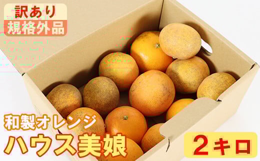 【訳あり・規格外品】ハウス美娘 約2kg（バラ詰め・M玉以下） ／ ミカン みかん 蜜柑 柑橘類 訳あり 美娘 オレンジ 2kg 12月 1月 甘い フルーツ ＜132-018_6＞