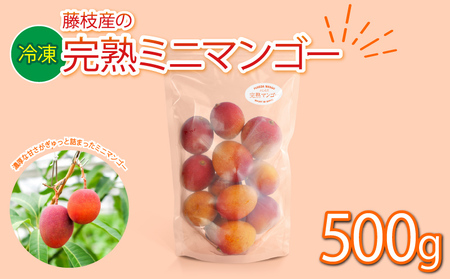 マンゴー 完熟 冷凍 ミニマンゴー 500g 国産 フルーツ 果物 デザート スイーツ マンゴー 静岡県 藤枝市 