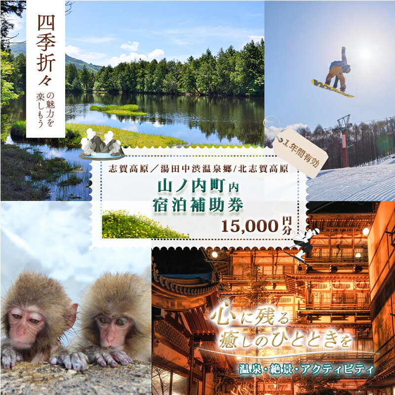【ふるさと納税】山ノ内町内宿泊補助券（3枚）1年間有効 15,000円分 旅行 宿泊券 ホテル 旅館 チケット 宿泊 補助券 志賀高原 湯田中渋温泉郷 北志賀高原 地獄谷野猿公苑 温泉 ギフト 自然 観光 長野県 信州 冬 スキー
