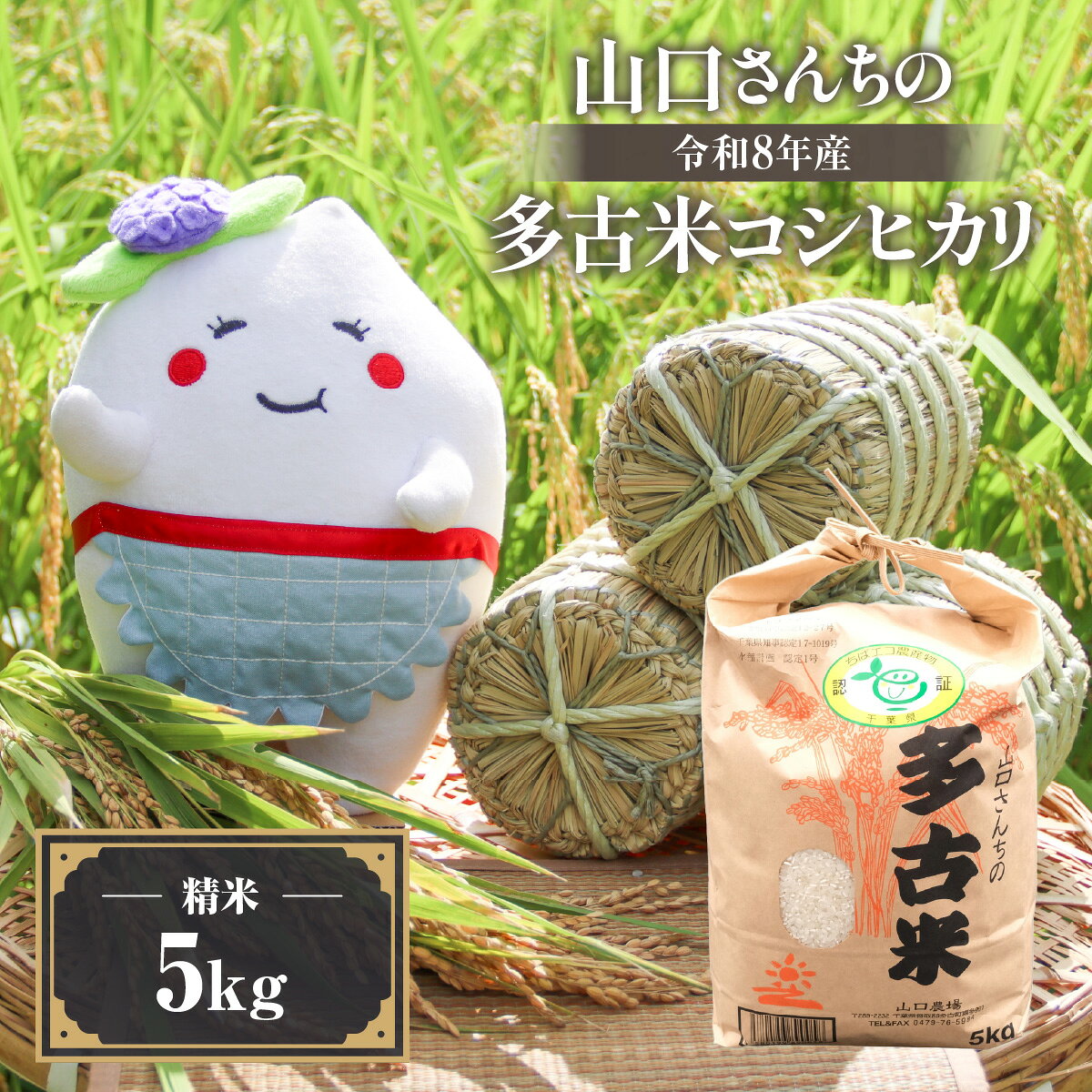 【ふるさと納税】山口さんちの【令和8年産】多古米コシヒカリ(精米)5kg【配送不可地域：離島・沖縄県】【TAKF043】