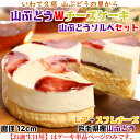 【ふるさと納税】岩手・山ぶどうの里から「山ぶどうWチーズケーキ（直径12cm）」&「山ぶどうソルベ（2個）」セット