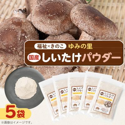 ふるさと納税 館山市 しいたけパウダー20g×5袋 就労継続支援A/B型併用事業所「ゆみの里」