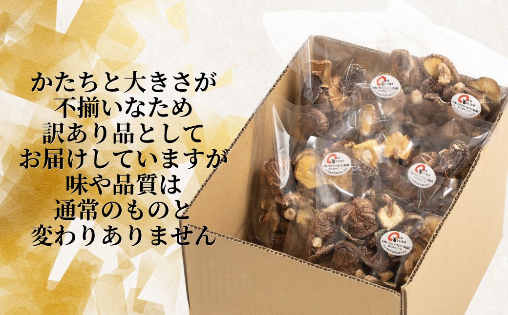 【訳あり】 津久見産不揃いしいたけ 100g×5袋 | 椎茸 シイタケ 乾燥椎茸 きのこ 茸 家庭用 乾燥シイタケ 国産 九州 大分県 大容量 送料無料 津久見市【tsu006008】