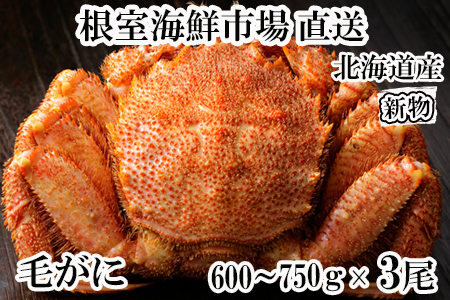根室海鮮市場＜直送＞ボイル毛がに600～750g×3尾 D-28062