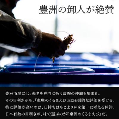 ふるさと納税 松浦市 豊洲市場で最高評価を受け続ける車海老　東興のくるまえび400g(玄海活きくるまえび) |  | 01